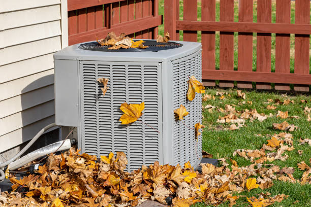 Best HVAC Air Duct Cleaning  in Parkers Prairie, MN